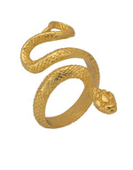 Load image into Gallery viewer, Snake Love Ring - Aquadan.co